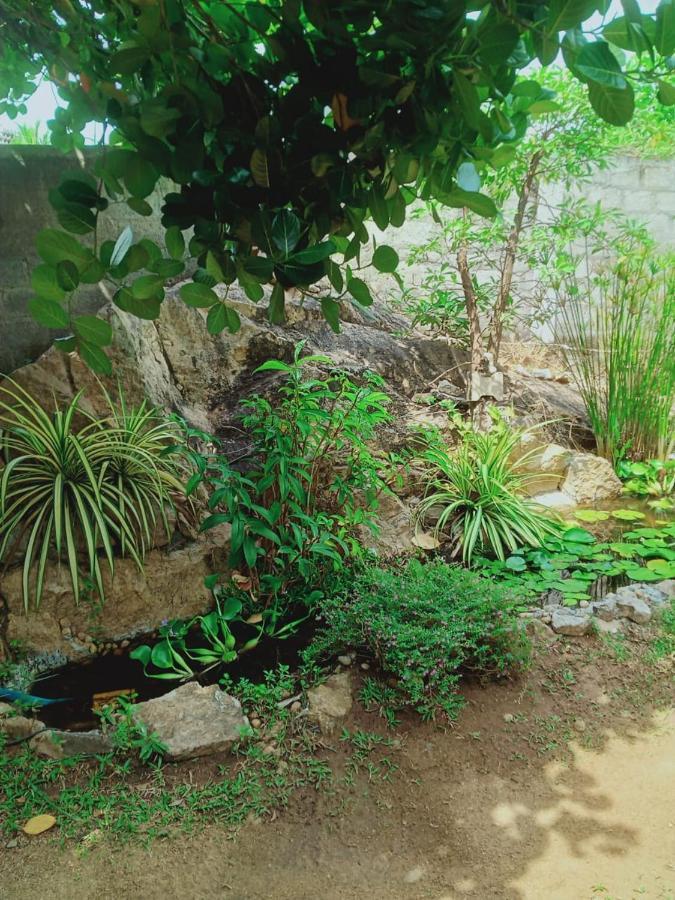 Sidhangana Home Stay Anuradhapura Buitenkant foto