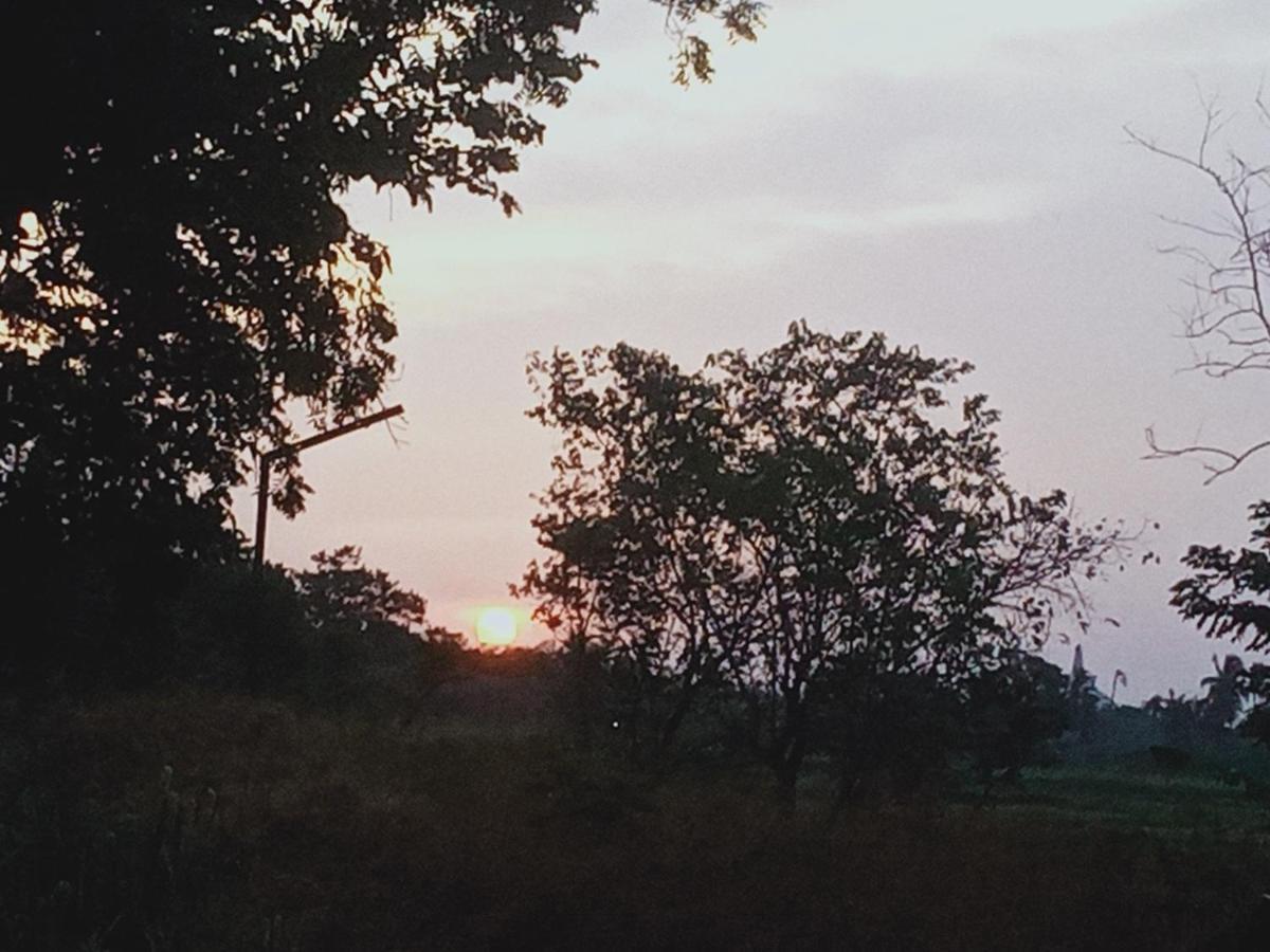 Sidhangana Home Stay Anuradhapura Buitenkant foto
