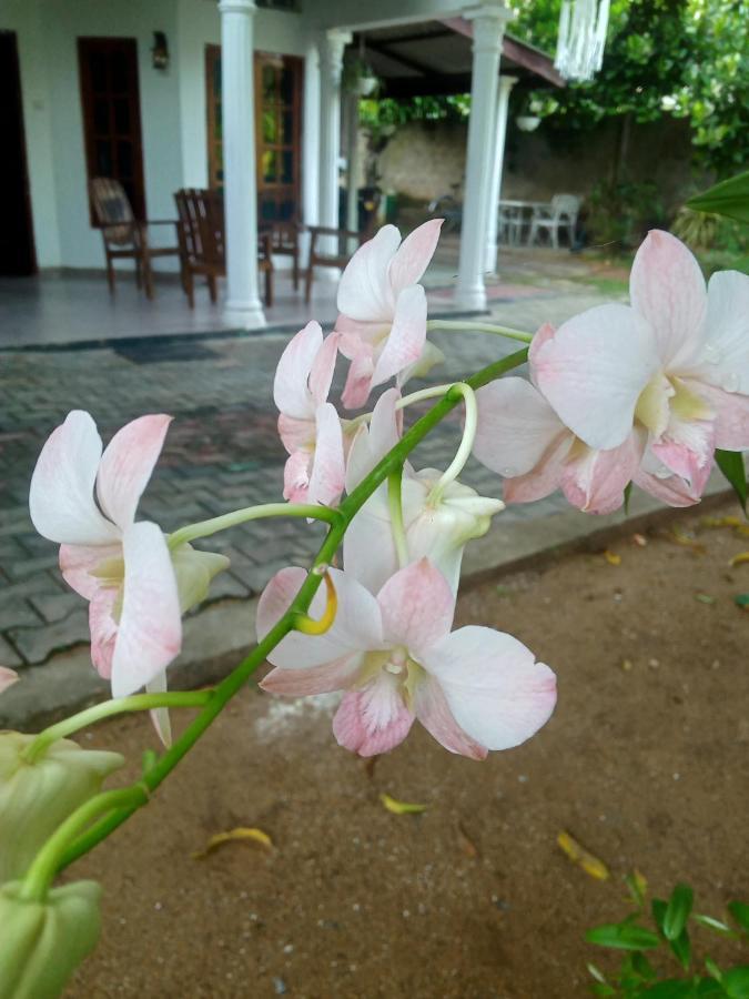 Sidhangana Home Stay Anuradhapura Buitenkant foto