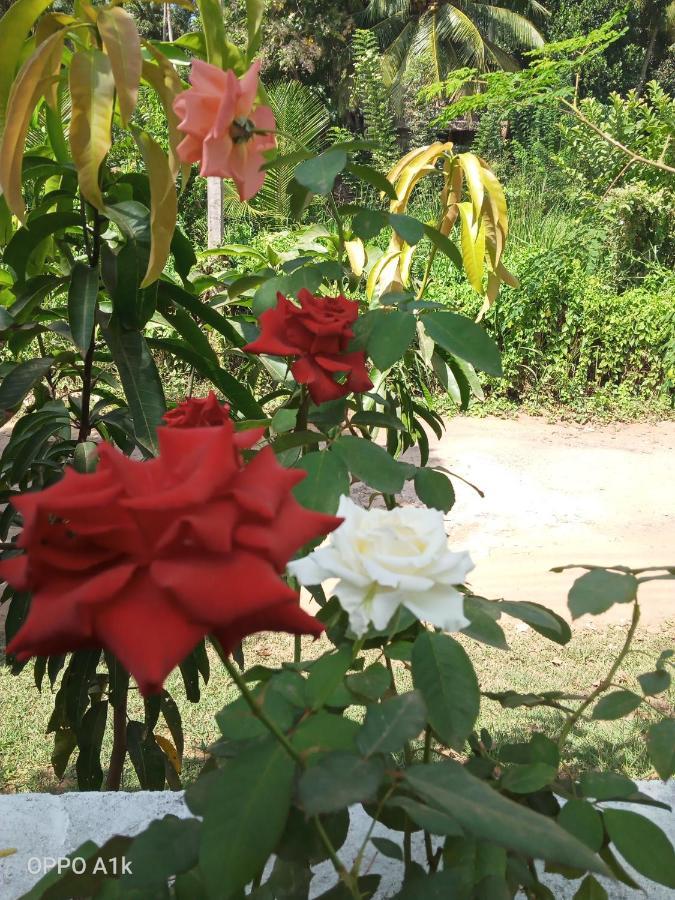 Sidhangana Home Stay Anuradhapura Buitenkant foto