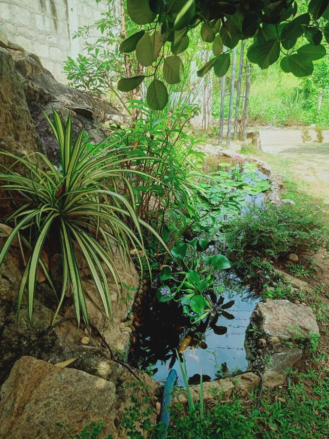Sidhangana Home Stay Anuradhapura Buitenkant foto