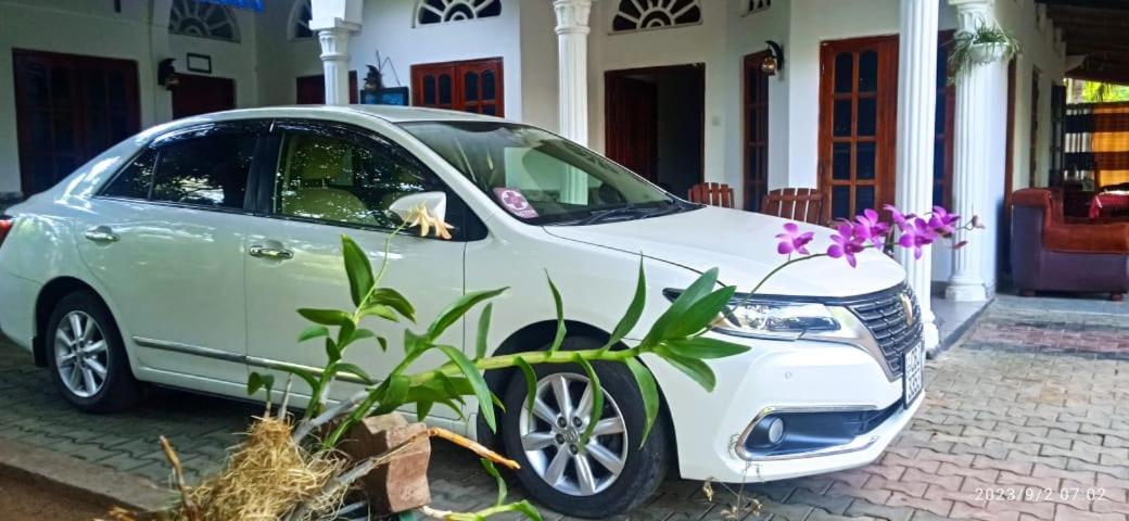 Sidhangana Home Stay Anuradhapura Buitenkant foto