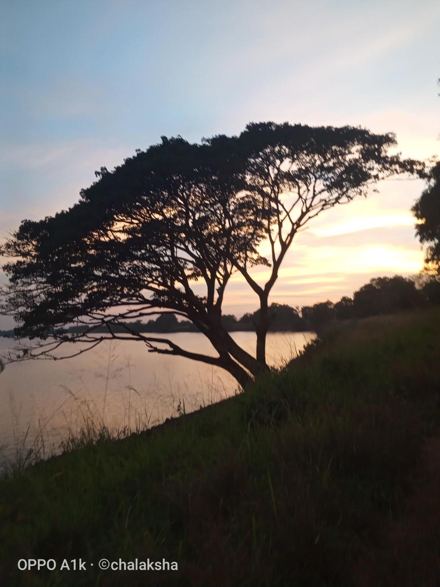 Sidhangana Home Stay Anuradhapura Buitenkant foto