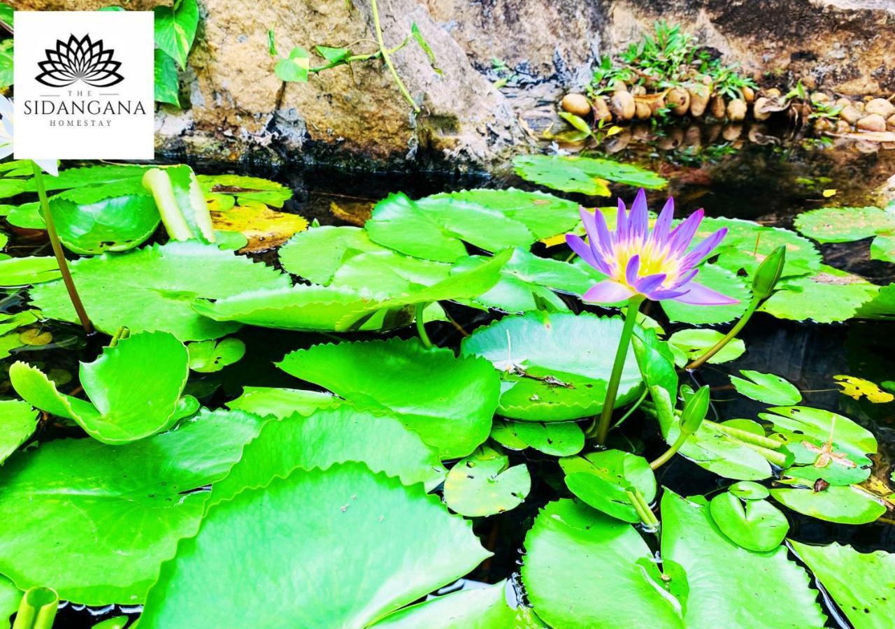 Sidhangana Home Stay Anuradhapura Buitenkant foto