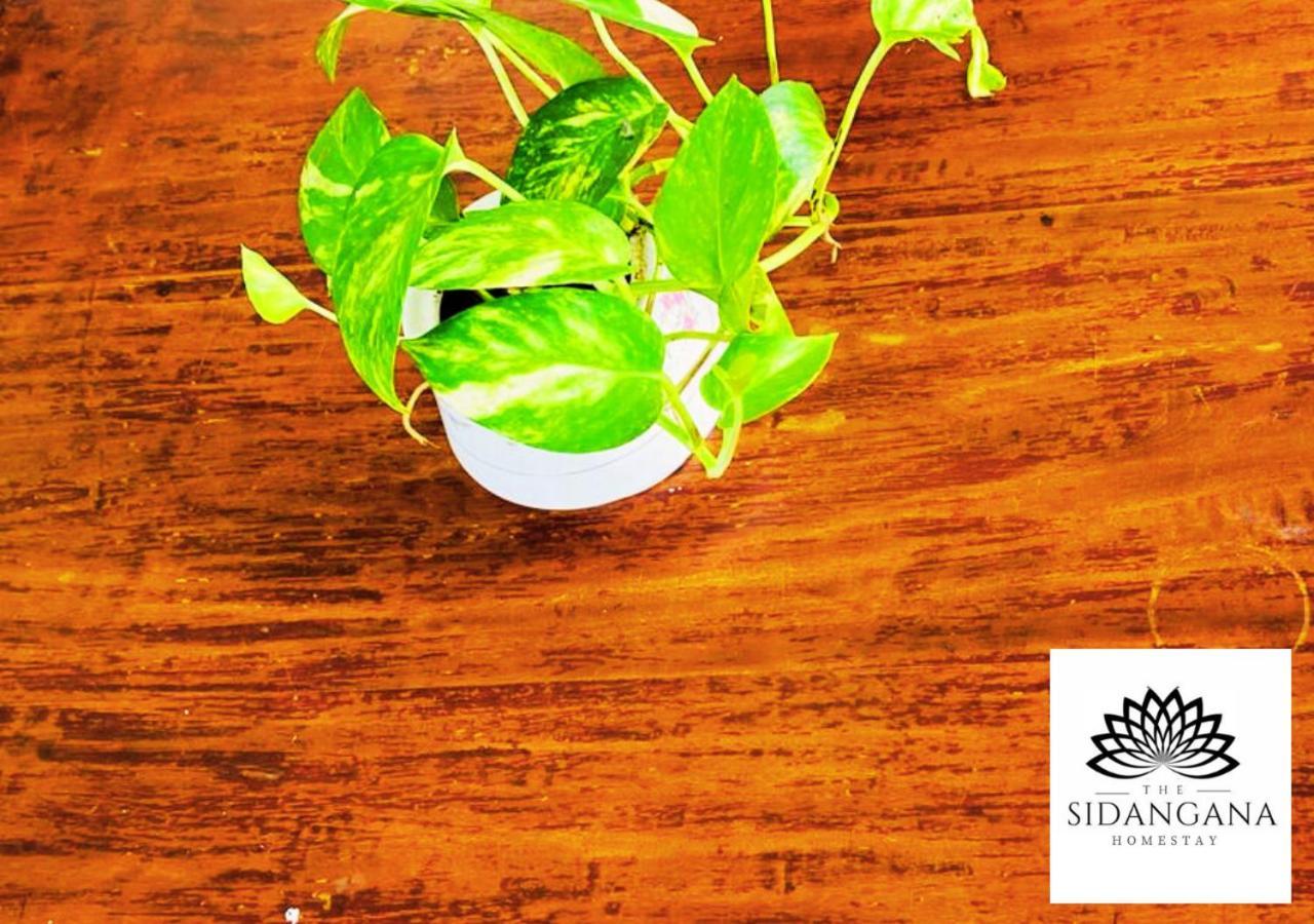 Sidhangana Home Stay Anuradhapura Buitenkant foto